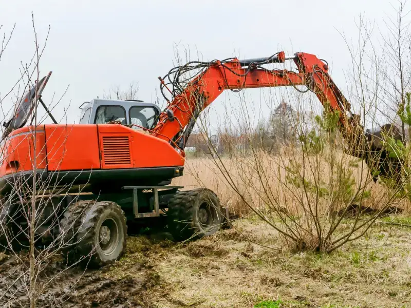 Wheeled excavator clearing brush and overgrowth